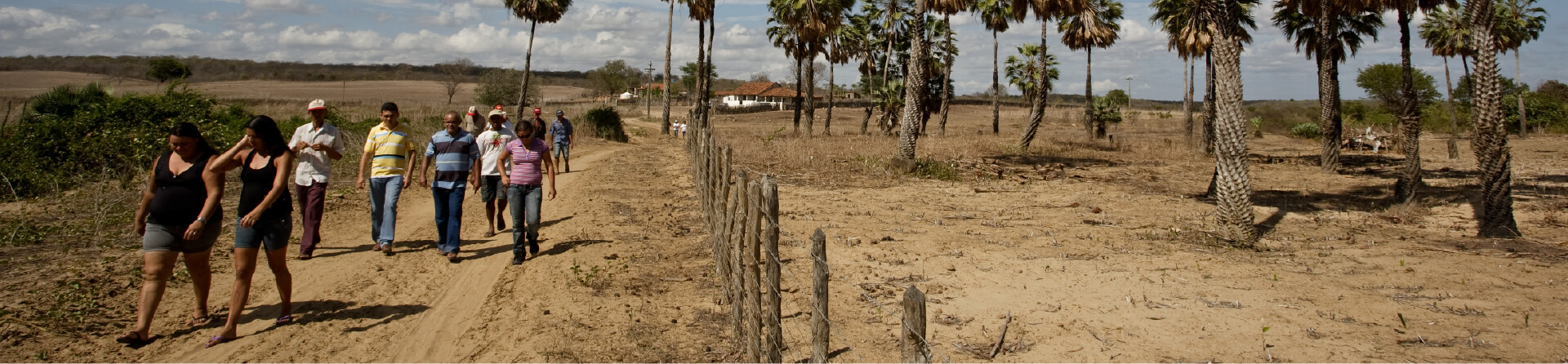 Visão